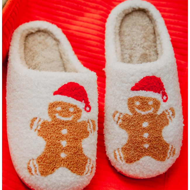 Christmas Slipper