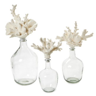 Glass Bottle Jar with Coral Stopper