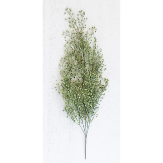 Charleston Stem