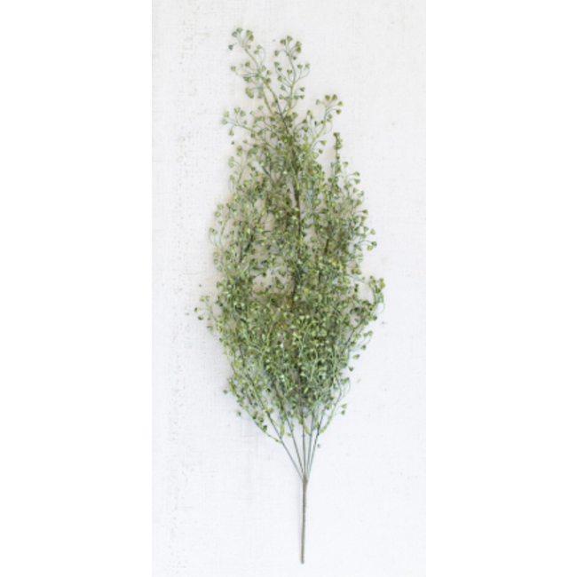 Charleston Stem