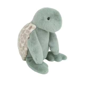 Taylor Turtle