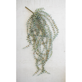 Hanging Necklace Fern