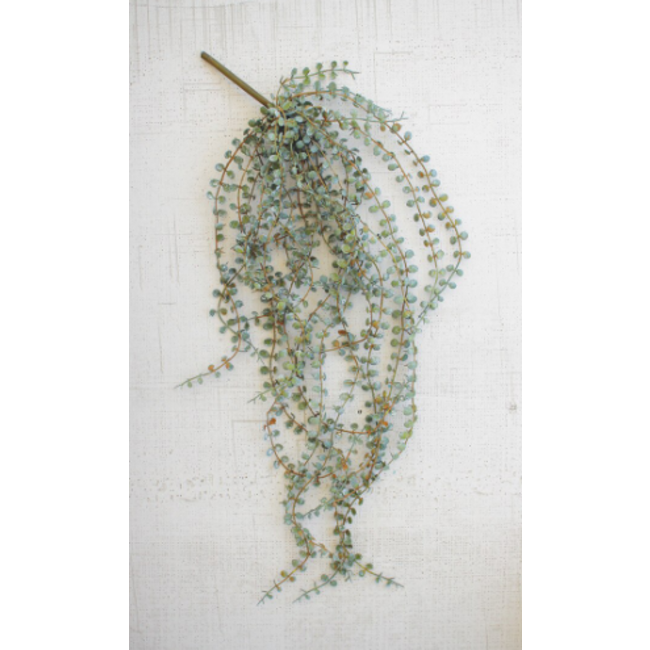 Hanging Necklace Fern