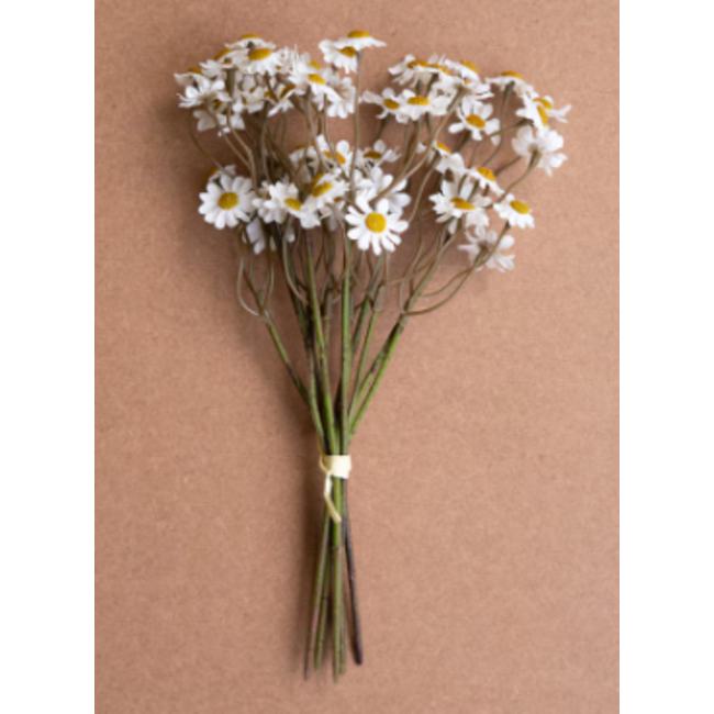 Chamomile Bundle