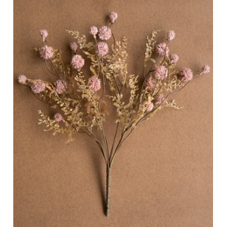 Pink Melaleuca Spray