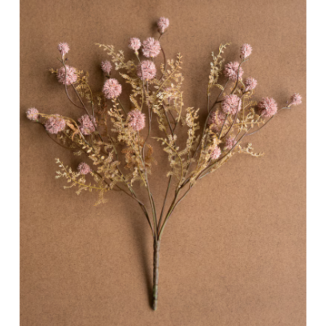 Pink Melaleuca Spray