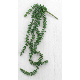 Artificial Necklace Fern Succulent