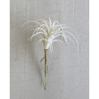 White Air Plant Small