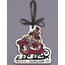 Sleighin It Ornament