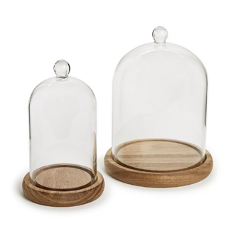 Cloche w/ Ball Handle & Wood Base
