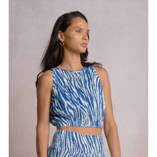 Blue Zebra Top