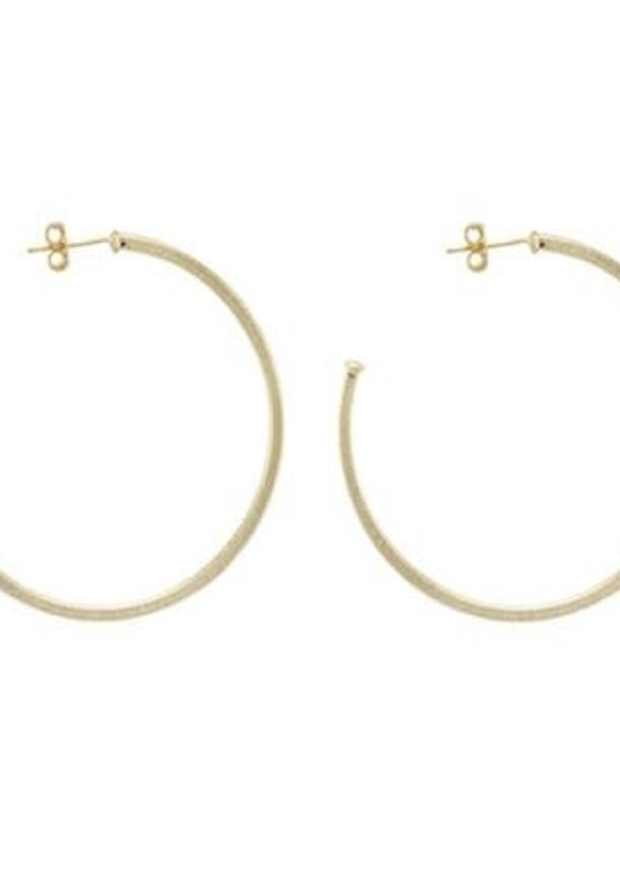 Sheila Fajl Perfect Hoops