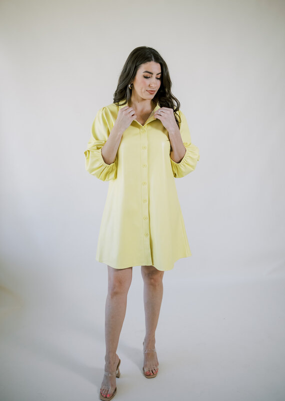Spring Fling Vegan Leather Dress