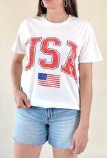 Z Supply Flag Boyfriend Tee Sea Salt