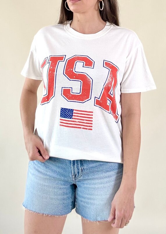 Z Supply Flag Boyfriend Tee Sea Salt