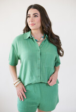 Z Supply Tinsley Button Up Shirt Lawn