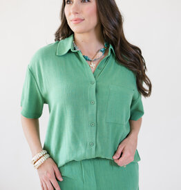 Z Supply Tinsley Button Up Shirt Lawn
