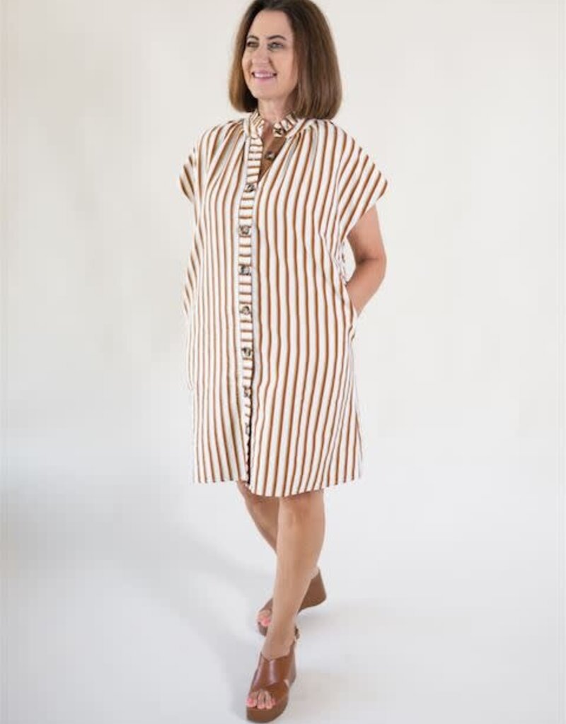 Sullivan Striped Button Down Dress