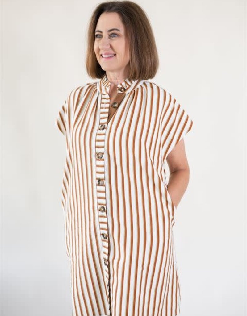 Sullivan Striped Button Down Dress
