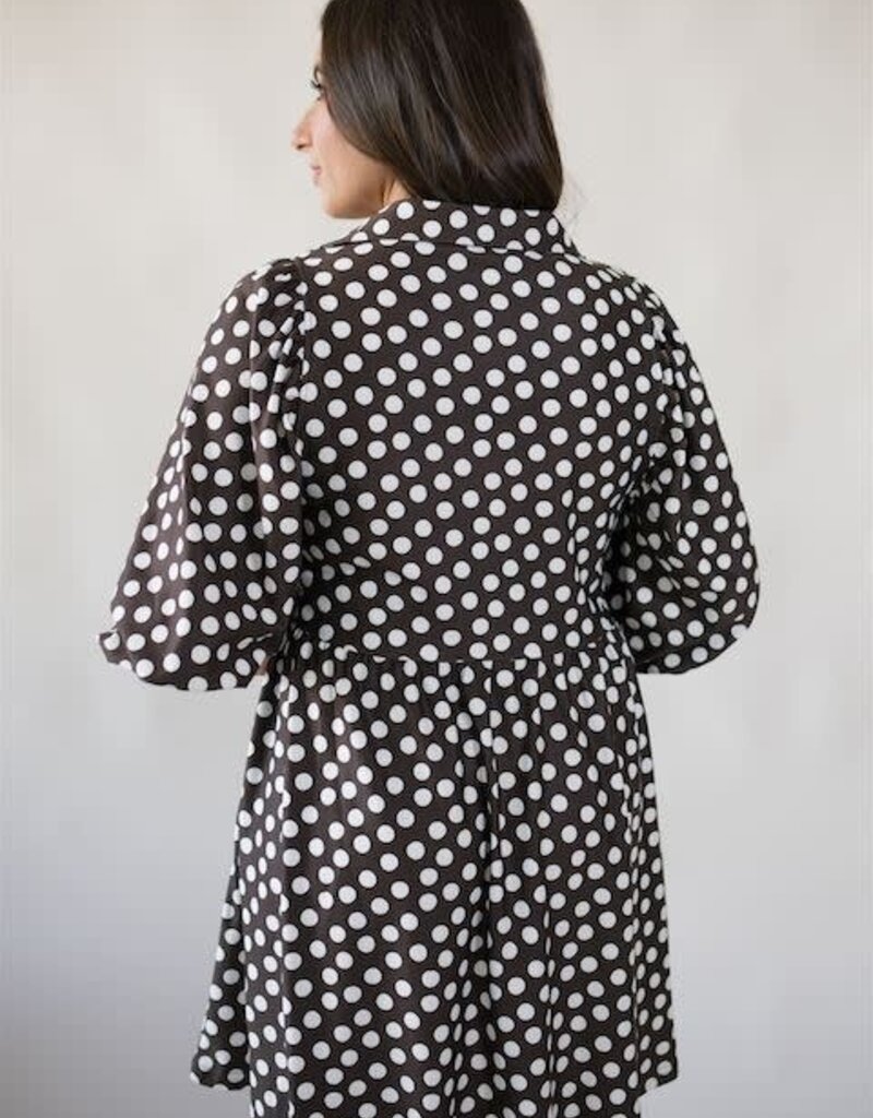 Smith & Quinn Charlotte Dress Chocolate Dot