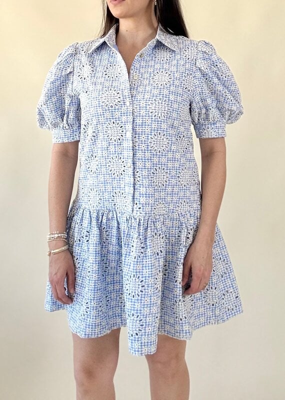 Gingham Eyelet Ruffle Mini Dress