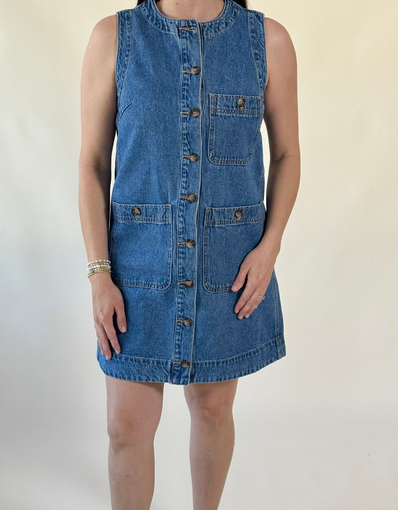 Jenny Button Front Denim Dress