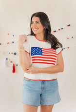 Z Supply Sleeveless Patriot Sweater Cloud