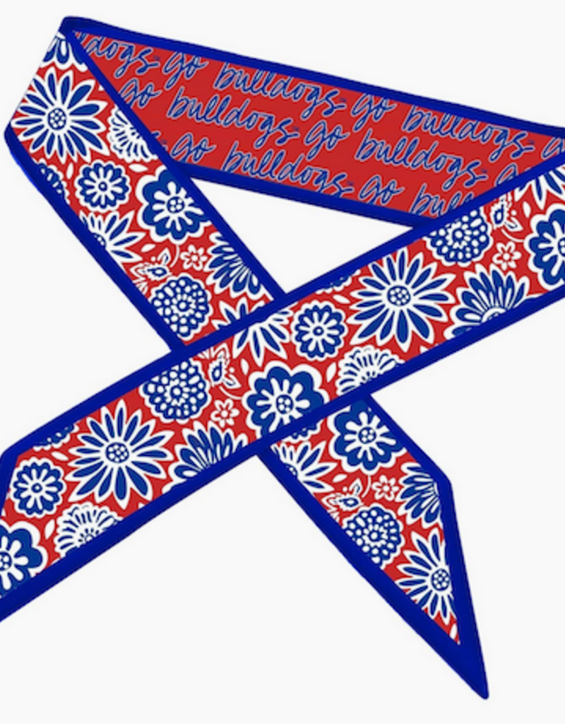 Louisiana Tech Skinny Scarf
