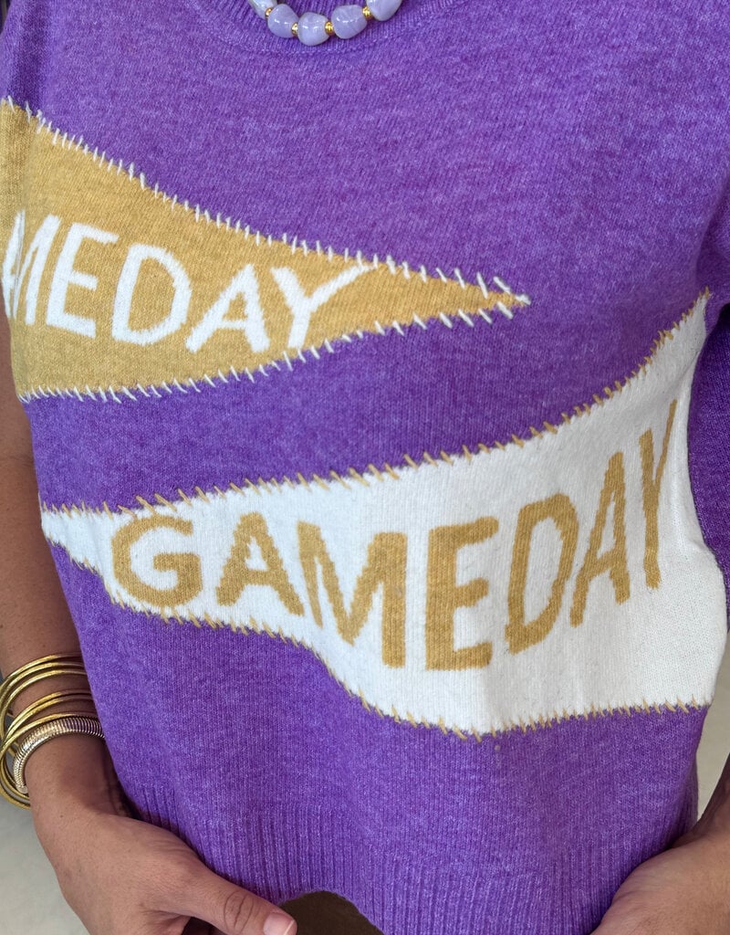 Purple Gameday Penant Sweater Vest