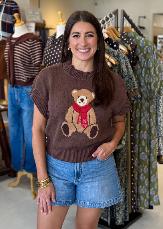 Teddy Bear Jacquard Knit Sweater Top Brown