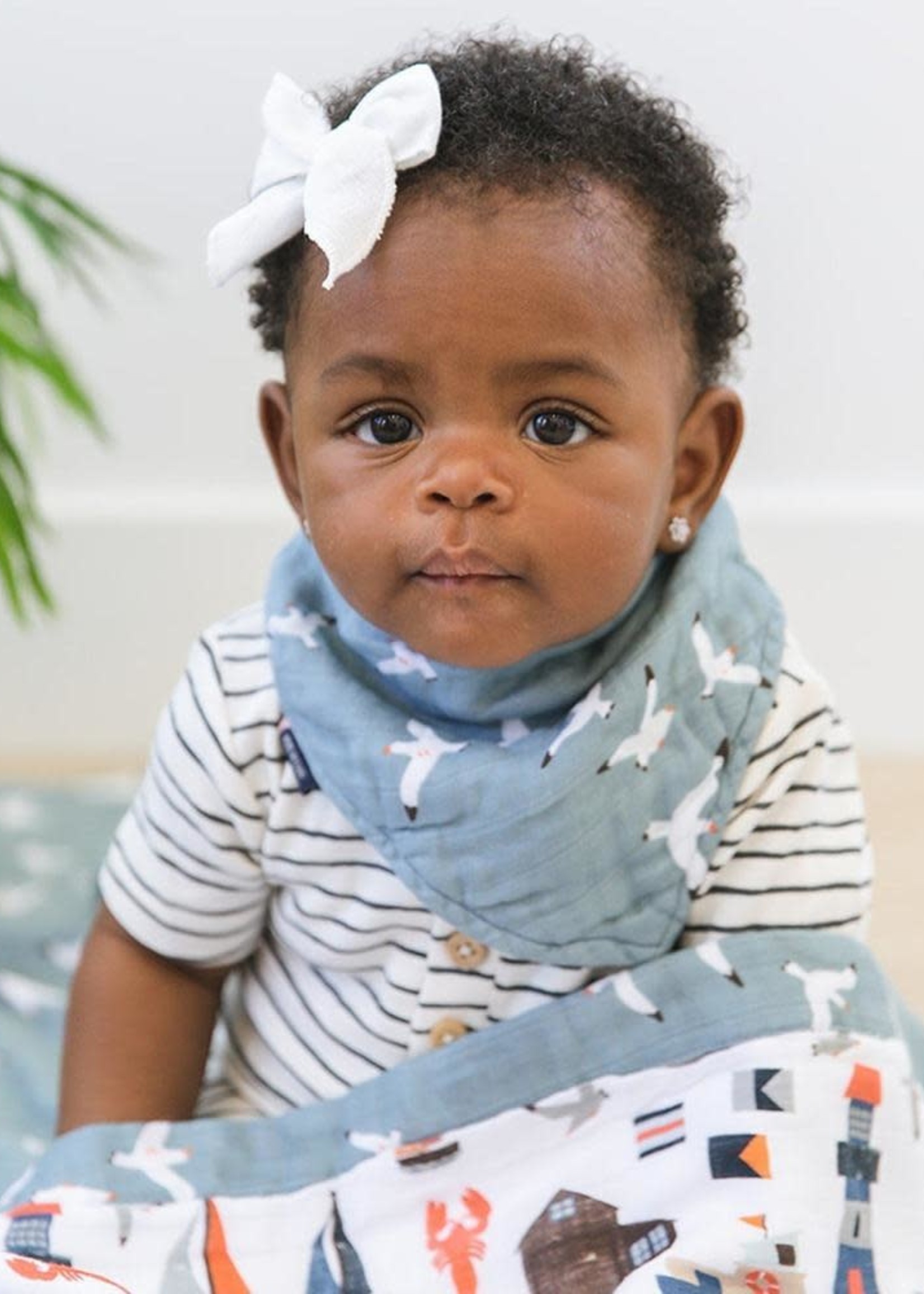 Seagulls Oh So Soft Muslin Bandana Bib The Local Squirrel