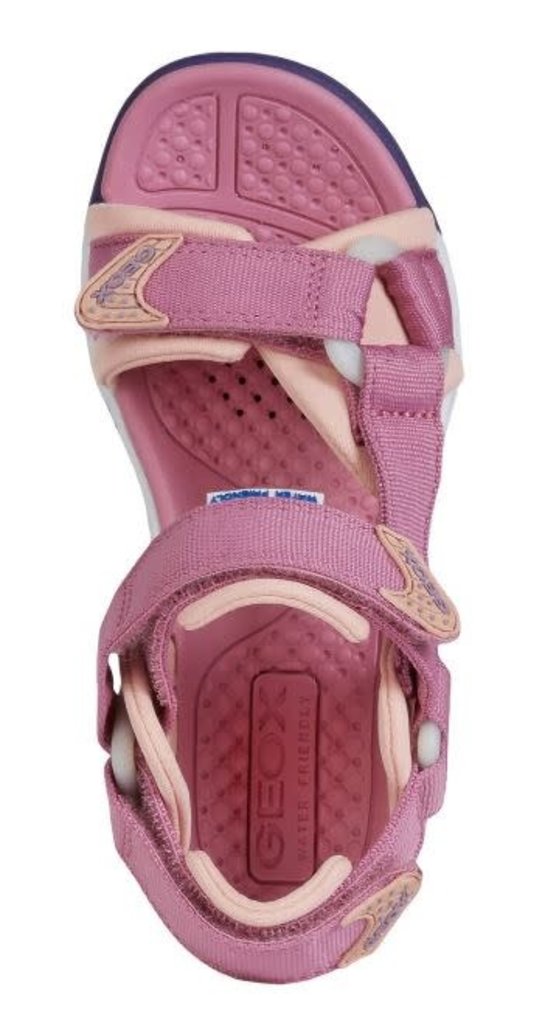 GEOX BOREALIS  Rose