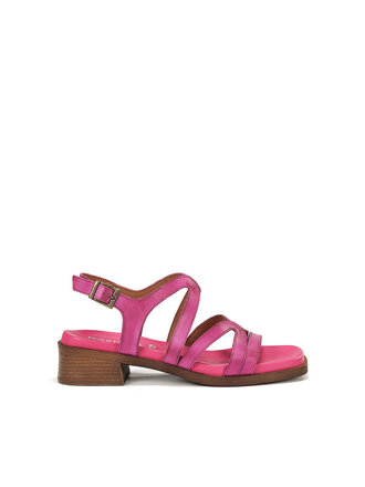 DORKING BY FLUCHOS Poleo D9208 Fucshia
