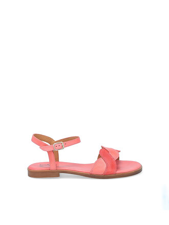 MIZ MOOZ Lakelyn Azalea MIZ MOOZ Lakelyn Azalea