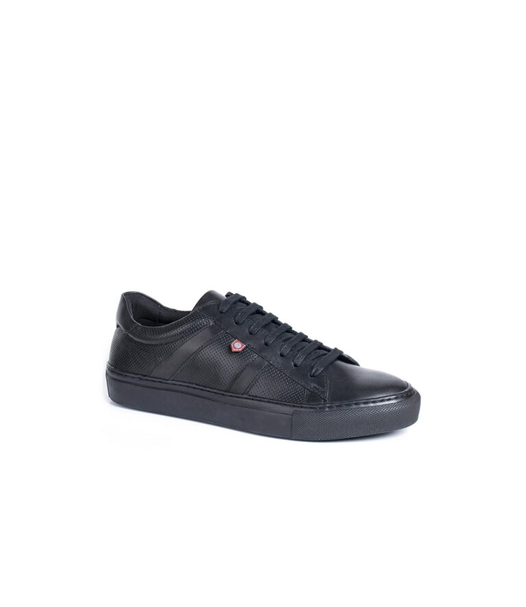 MANIQUI Jagr 6000 Noir