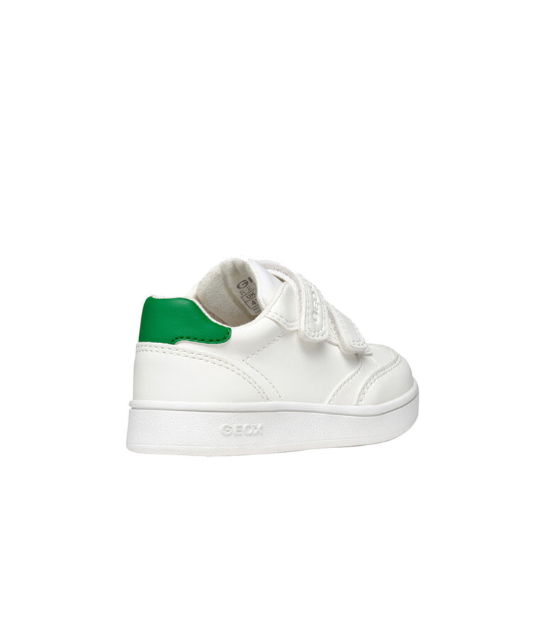 GEOX  Eclyper White / Green