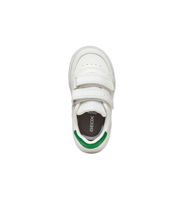 GEOX Eclyper Blanc / Vert