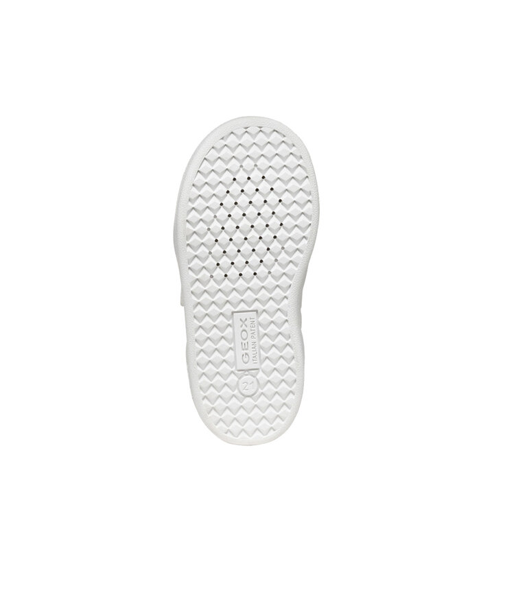 GEOX Eclyper Blanc / Vert