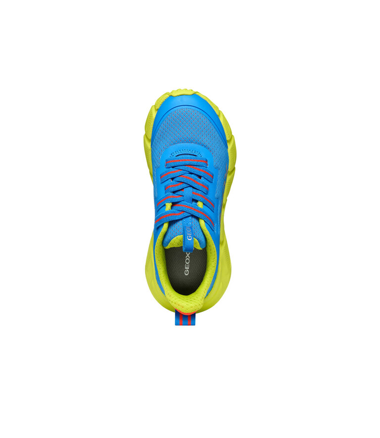 GEOX Flexyper Fast Royal/Lime