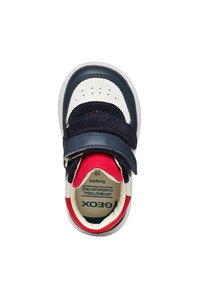 GEOX Biglia White / Navy