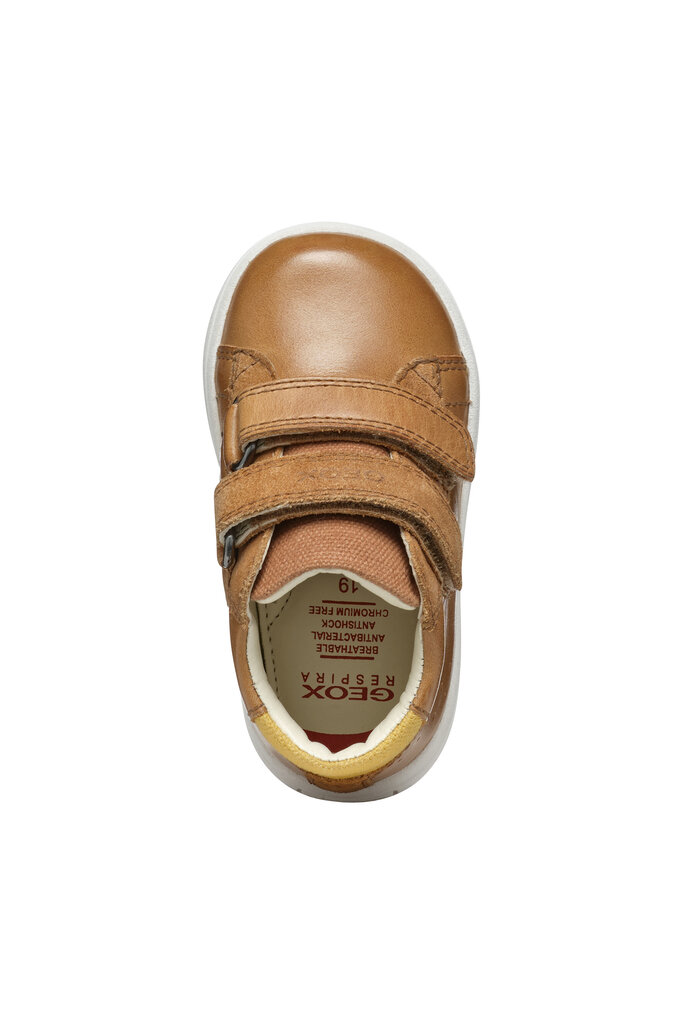GEOX Biglia Caramel / Ochre