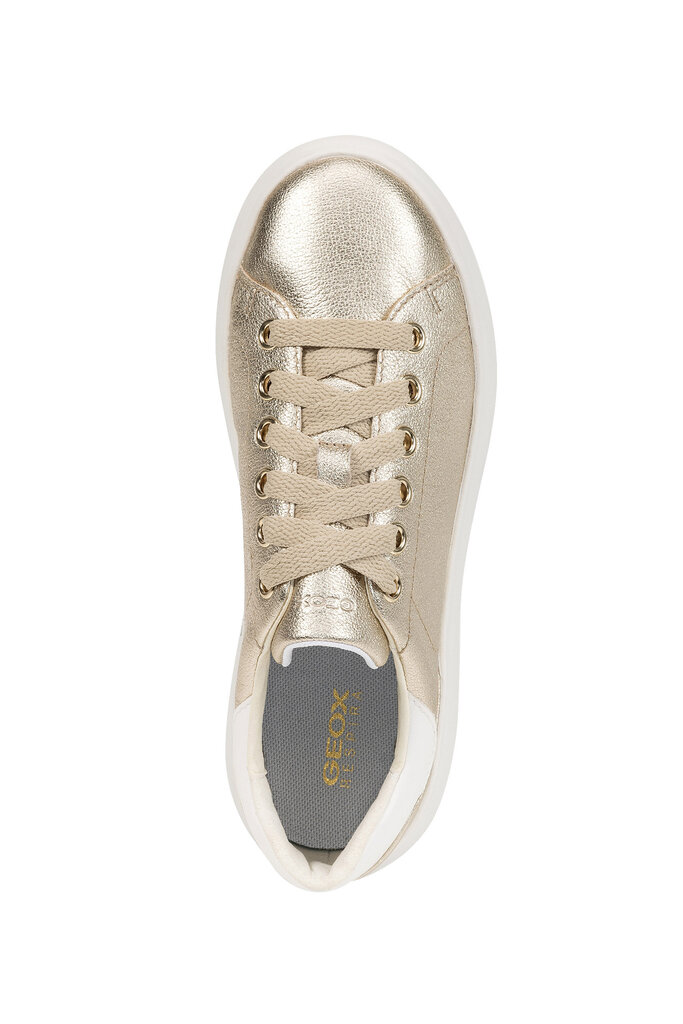 GEOX Spherica Ec4.1 Gold Optic
