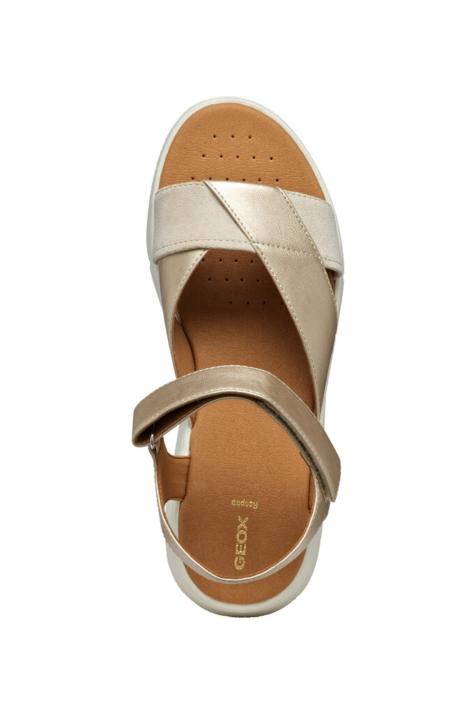 GEOX Dandra 40 Or Pâle /Taupe Pâle