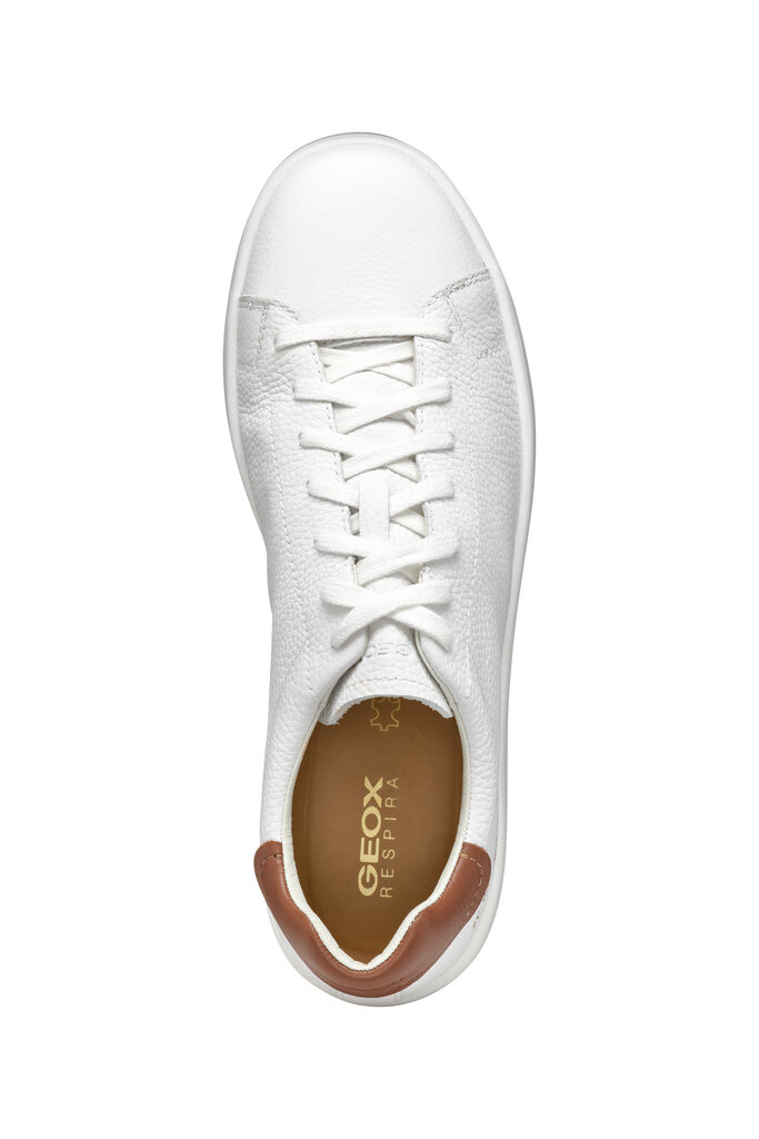 GEOX Spherica Ecub-1 White