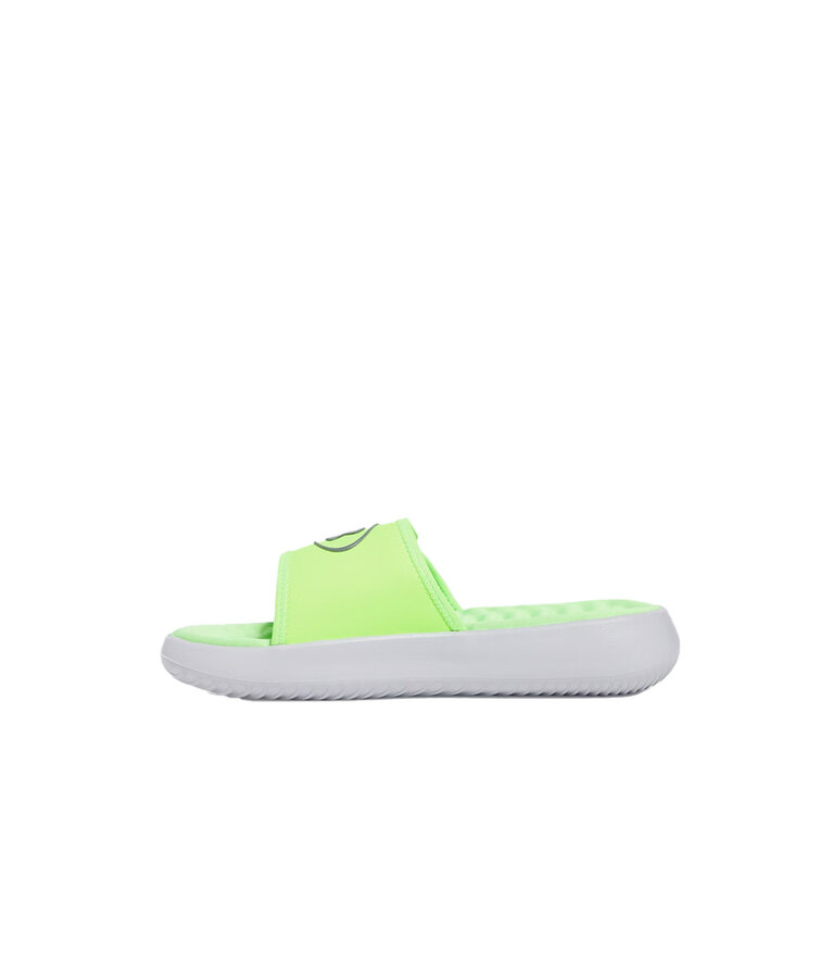 UNDER ARMOUR Ignite Pro 8 Slides Gris / Vert