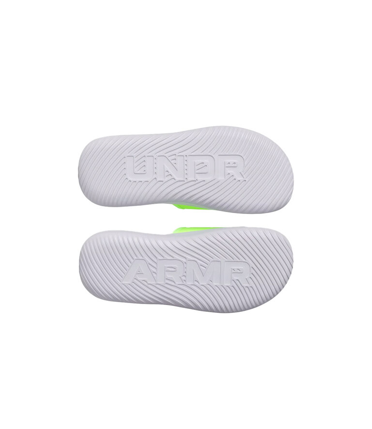 UNDER ARMOUR Ignite Pro 8 Slides Gris / Vert