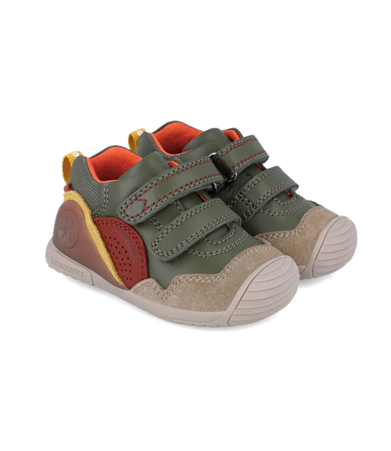 BIOMECANICS 241120 Vert Multi