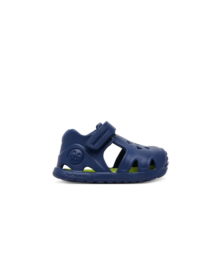 BIOMECANICS 252290 Royal