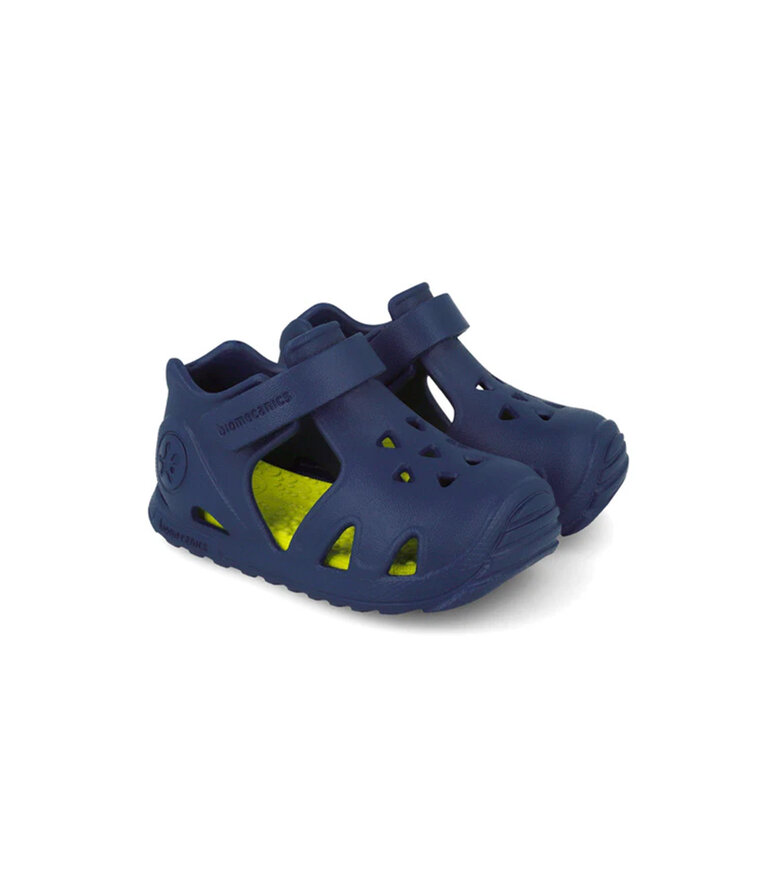 BIOMECANICS 252290 Royal