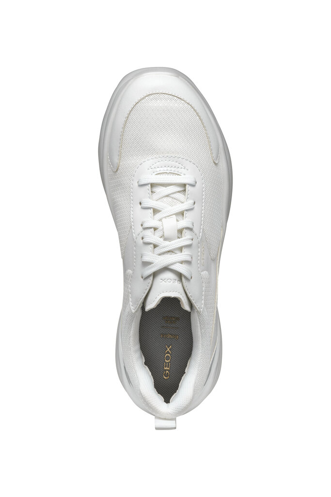 GEOX D Xtors White